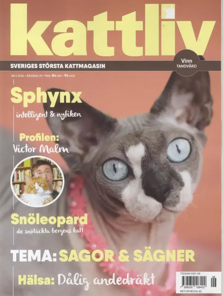 Kattliv